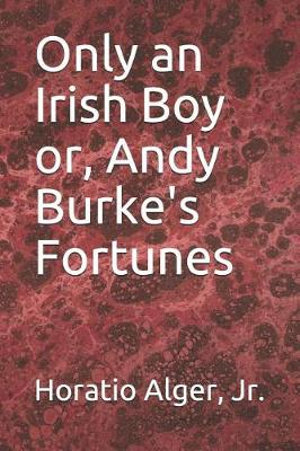 Only an Irish Boy; Or, Andy Burke's Fortunes